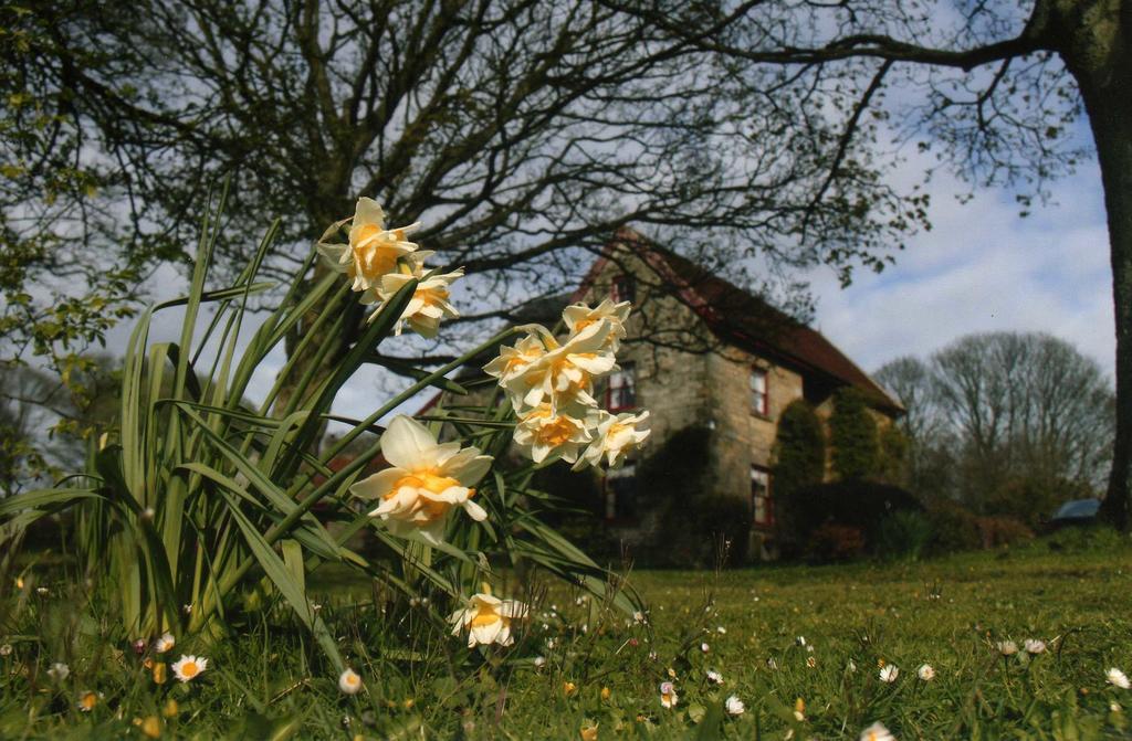High Farm B&B Pickering Dış mekan fotoğraf